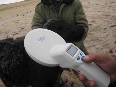 圖5 芯片成功掃描，芯片植入成功