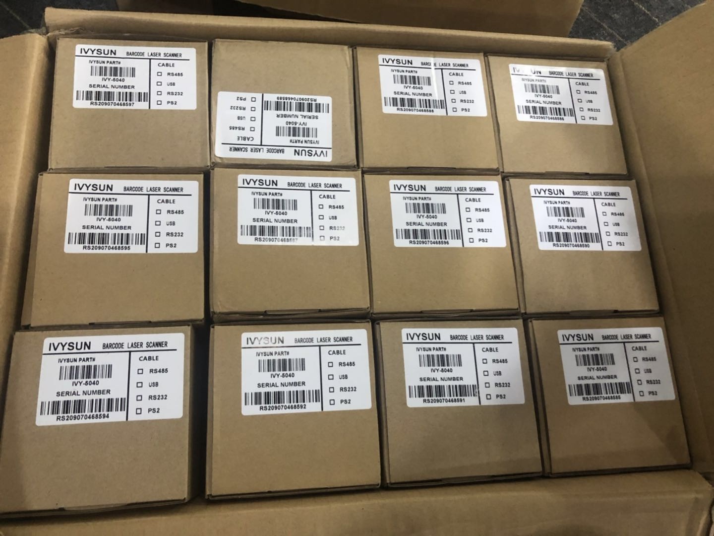 ivy-5040.jpg ivy-5040.jpg