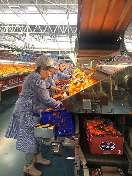 1566523605663295.jpg Fontestad 3.jpg